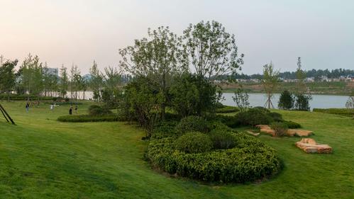 身边的的世界:初现雏形的周口滨河公园