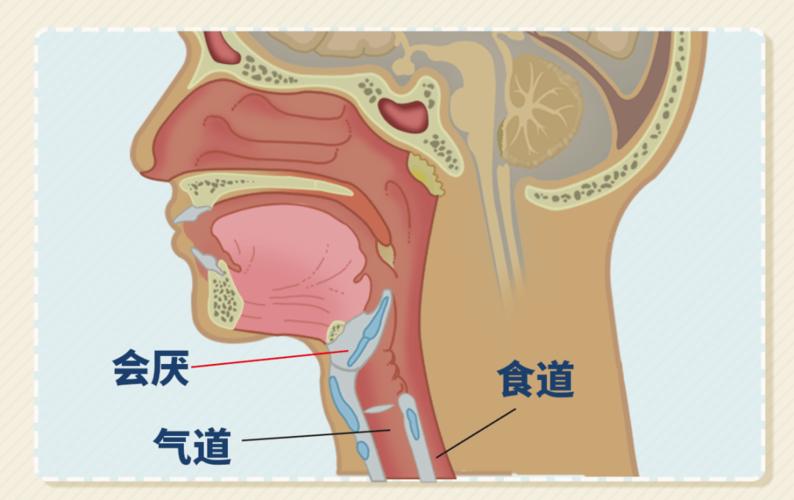 『 天气干燥 』喉咙干和环境的湿润程度也有关系,天气干燥的时候,皮肤