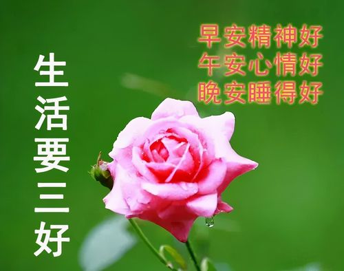 原创牛年最经典漂亮的群发图片祝福语大全图片带字问候语精选