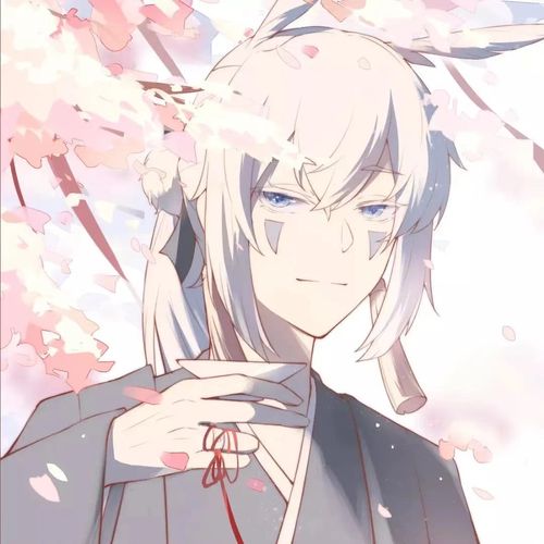 动漫情头白鸟菇菇光遇情头