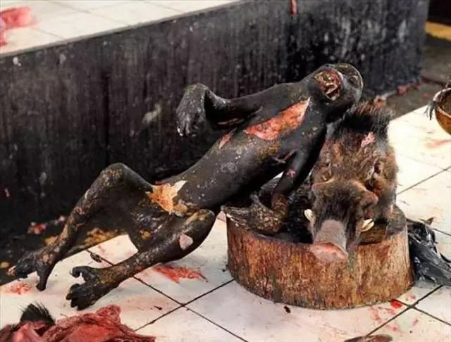 尸～官~   今天鬼哥给大家分享 10 位验尸官他们在第一现场的观后感