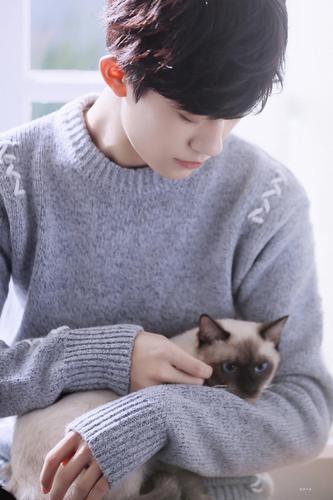 易烊千玺和他的猫(^^)