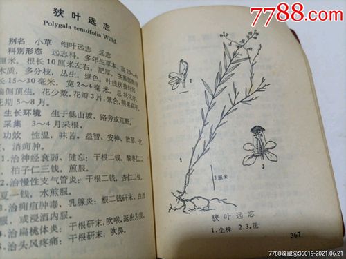 常用中草药_医书/药书_第9张_7788钱币网