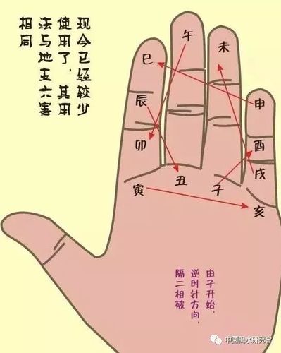 手把手教算命很实用