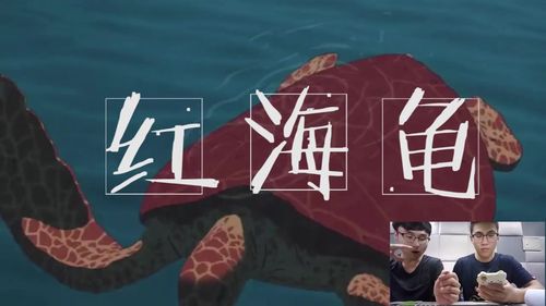 火警119之红海龟到底是什么呢?精品良作