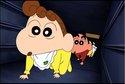野原向日葵