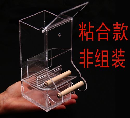 自动喂食器狗
