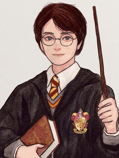 哈利波特的魔法棒_哈利波特_影视_电影(图文)_外语电影