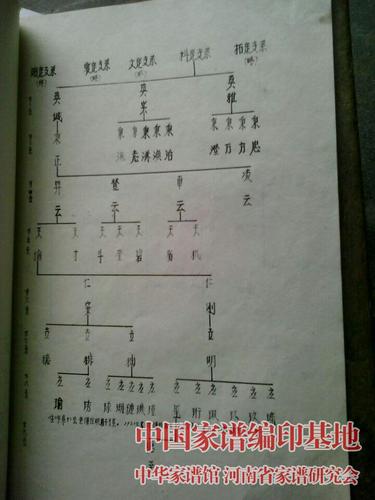山东临沂龙氏族谱