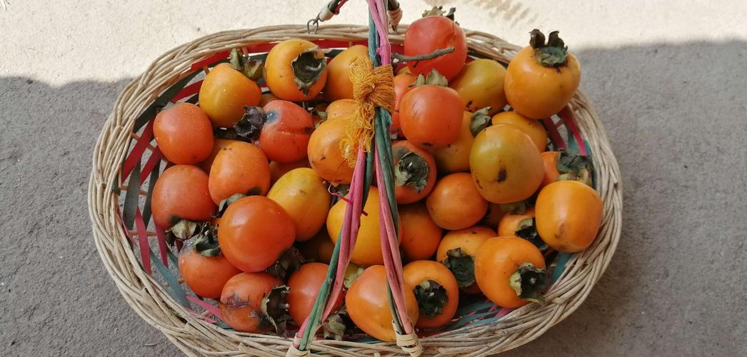 到舅舅家,篮子里红红的柿子一下子吸引了我,马上举起手机拍起来.