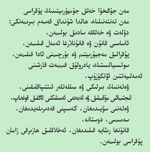 我庄严宣誓: 忠于我的祖国和人民 遵守宪法和法律 履行中国公民的