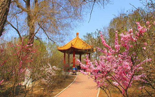 呼兰西岗公园.