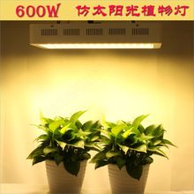 室内种植灯