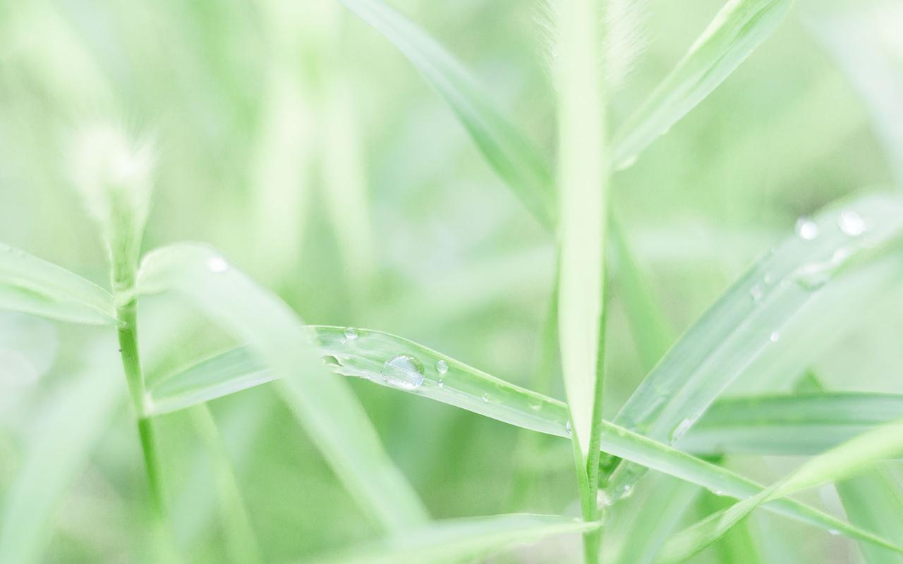 首页 桌面壁纸 高清壁纸 绿色小清新自然高清风景电脑壁纸 (1/ 9)