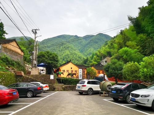 浙江余姚二日游——丈亭镇金冠村杨梅山