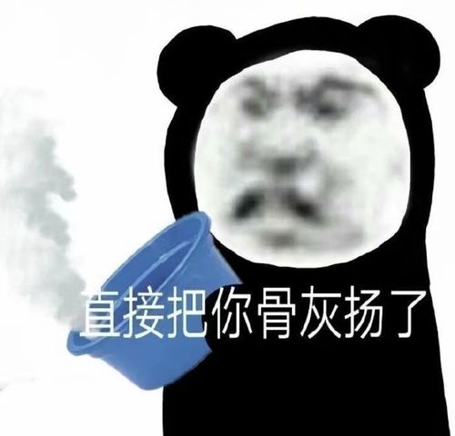 熊猫表情包你根本就不懂光