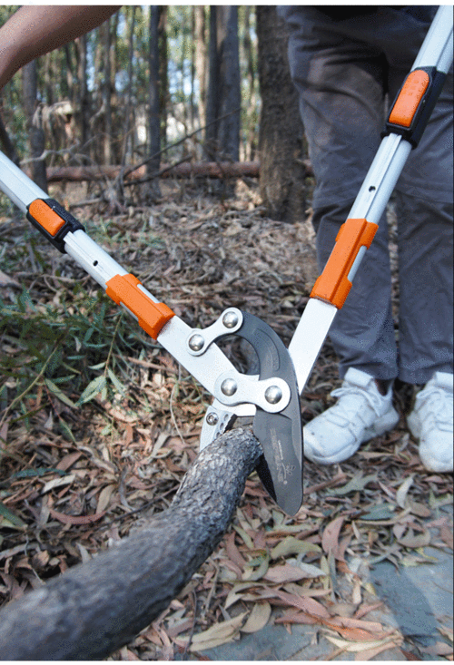 映景德国进口伸缩大力剪粗枝剪修枝剪树枝园林剪刀果树修剪神器高枝剪