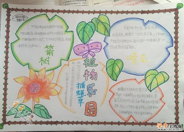 关于植物的手抄报图片大全,内容