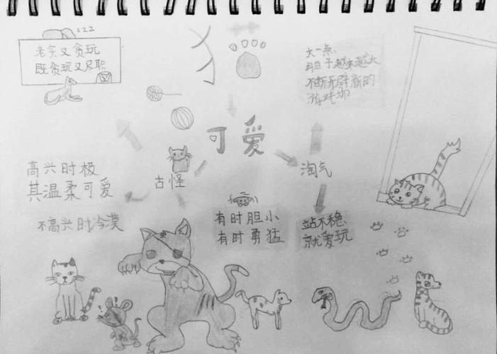 其它 【四年12班】《猫》思维导图 写美篇 一起来看看我们绘制的思维