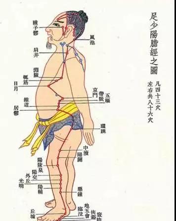 每天用空心拳头,敲打胆经,敲10分钟,敲到发热,能促进肝胆排毒,增强