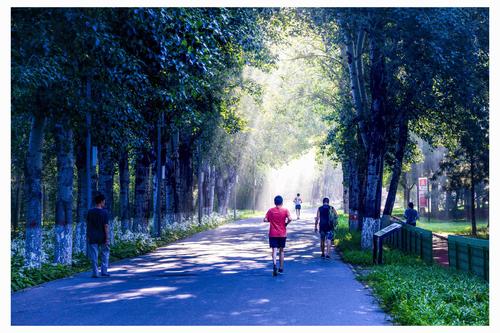 北京奥森北园晨景(拍摄于2020—8—14晨)