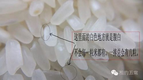教你几个土办法辨别真假五常大米