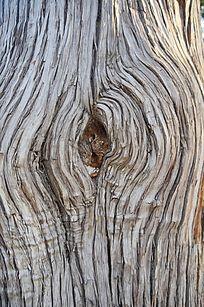 高清粗糙树皮肌理背景素材