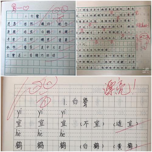 习作批语风趣,具体,都有写清楚批优差的原因;听写和生字作业批改认真