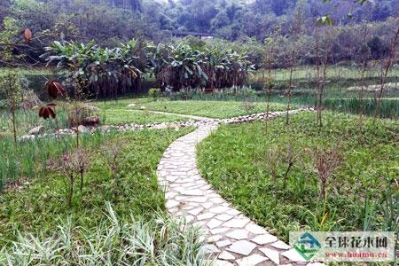 重庆迎龙湖湿地公园一期工程完工