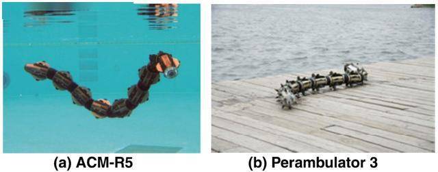 acm和perambulator系列机器人是执行三维运动的典型代表.acm-r5长1.