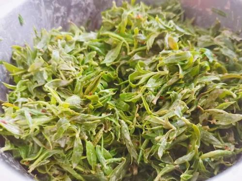 其它 记录——春之美(野菜篇) 写美篇 ▲山菲菜,山菲菜鸡蛋饺子味道鲜