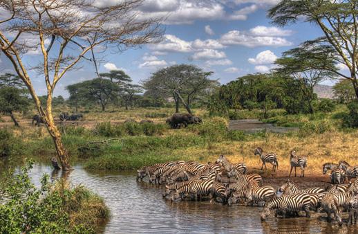 巡游东非大地 —坦桑尼亚一半火焰,一半海水经典野奢之旅