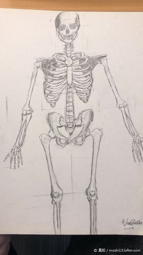 [29-3h] 《只是骷髅而已.