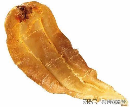 鱼胶品种大全最全最详细鱼胶解剖,翻遍行业你也找不到