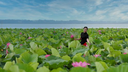 九江最美乡村__赤湖