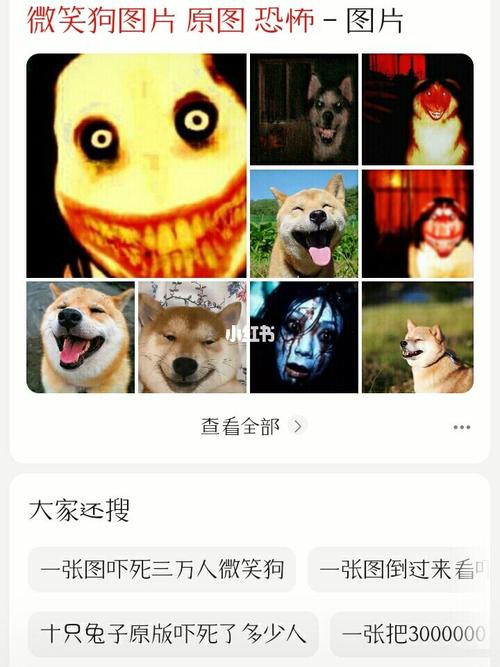 微笑狗_宠物_宠物_狗
