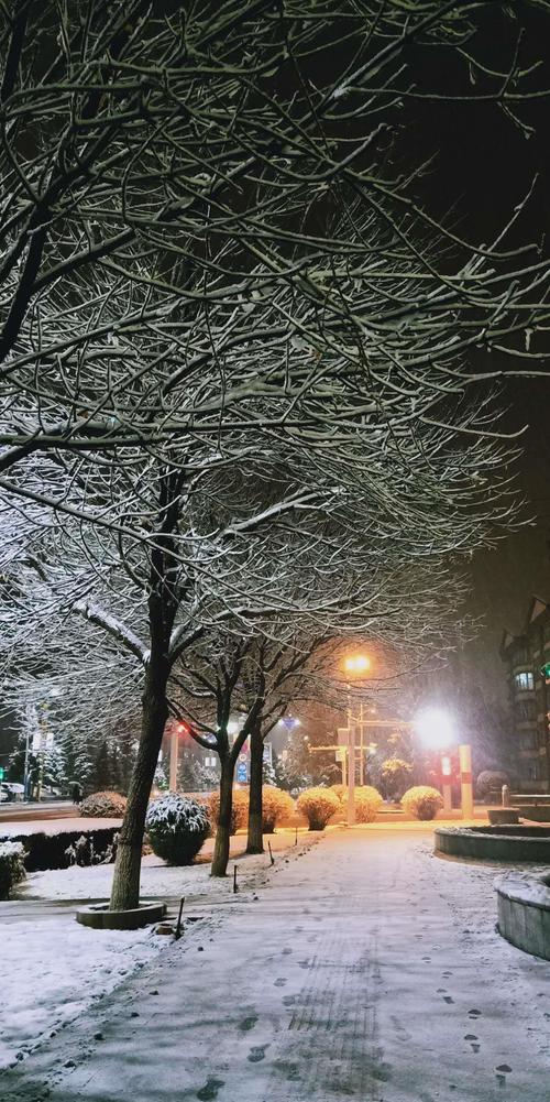 富蕴风景 | 走过雪后的富蕴夜晚 赏尽旖旎风光