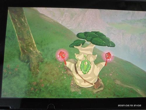 见到大家提的伯库林了!