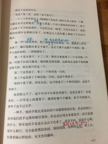 2月17日《呼兰河传》阅读批注要求