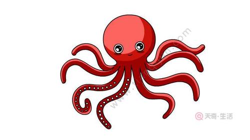 章鱼简笔画怎么画 章鱼简笔画画法
