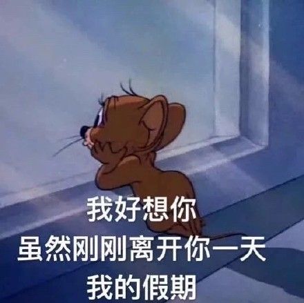 猫和老鼠搞笑表情包大合集