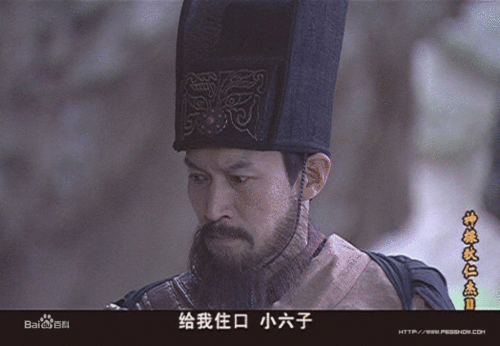 李楷固