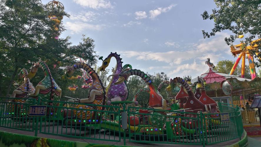 银川中山公园90岁了一一看老照片 赏菊花 跳新疆舞 喂