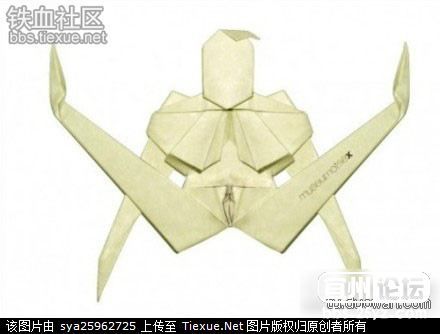 折纸jb怎么折 手工折纸大全-蒲城教育文学网