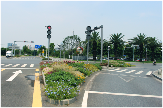 近年来,花境目前已应用于深圳城市部分道路绿化,主要是应用于渠化岛