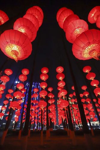 山东青岛:大红灯笼点亮公园夜景迎新春