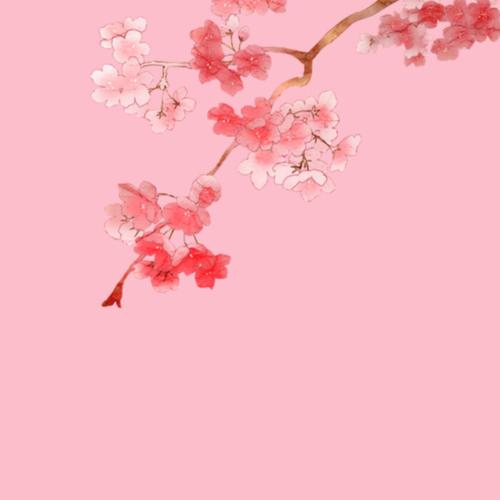 关注   自制背景底图 古风 自制 背景 评论 收藏