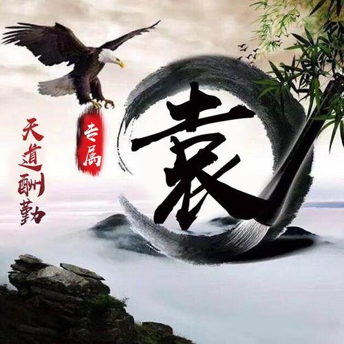 微信头像,姓氏头像,12款中国风水墨霸气雄鹰,快来带走