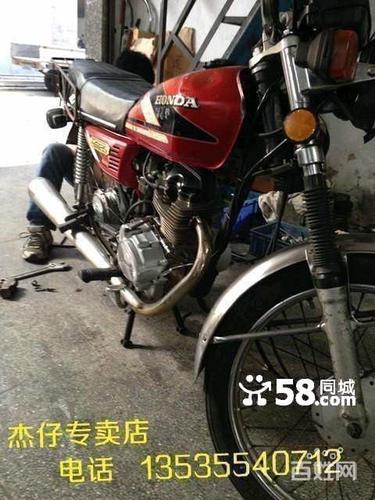 新塘杰仔专业出售纯原装日本进口本田银猫,花猫