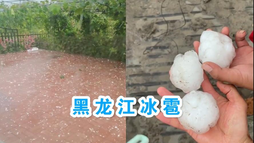 黑龙江突降鸡蛋大小冰雹积水路面溅起水花车玻璃砸出窟窿